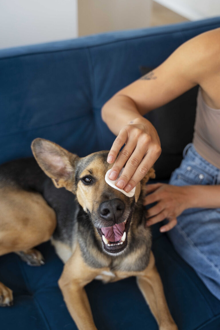 Explorando Opciones: Cómo Alimentar a tu Perro si sufre de Alergias o Sensibilidades Alimentarias
