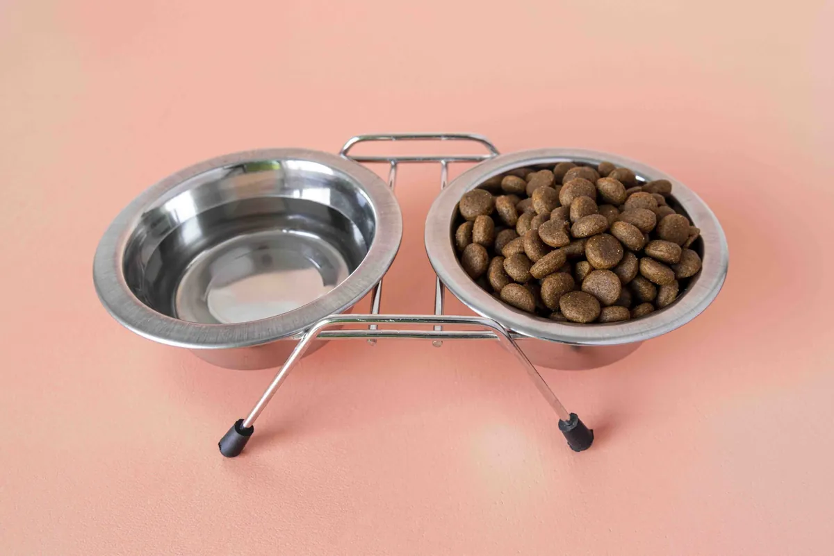 calcular-comida-perros
