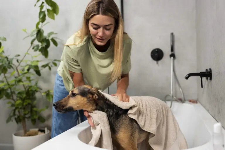 ¿Cómo bañar a un perro en casa?: Guía paso a paso