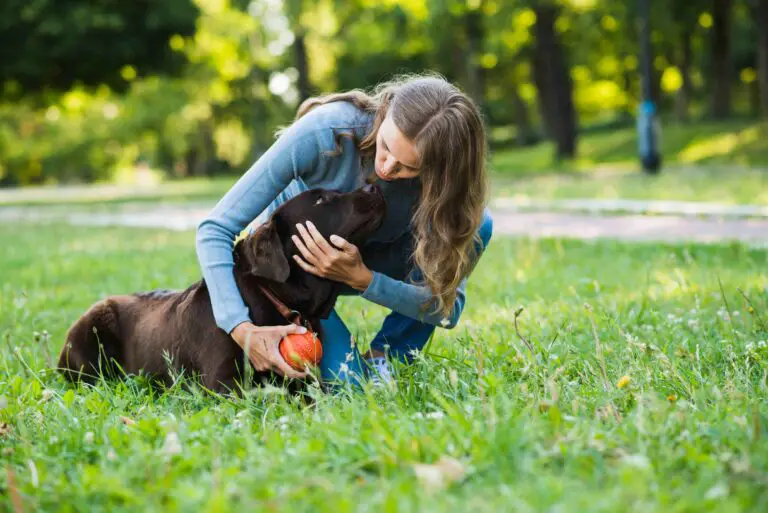 Razas de Perros con Mayor Necesidad en Cuidados y Aseo: Guía Definitiva