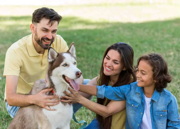 Razas de Perros Perfectas para Familias: Guía para Elegir el Compañero Ideal