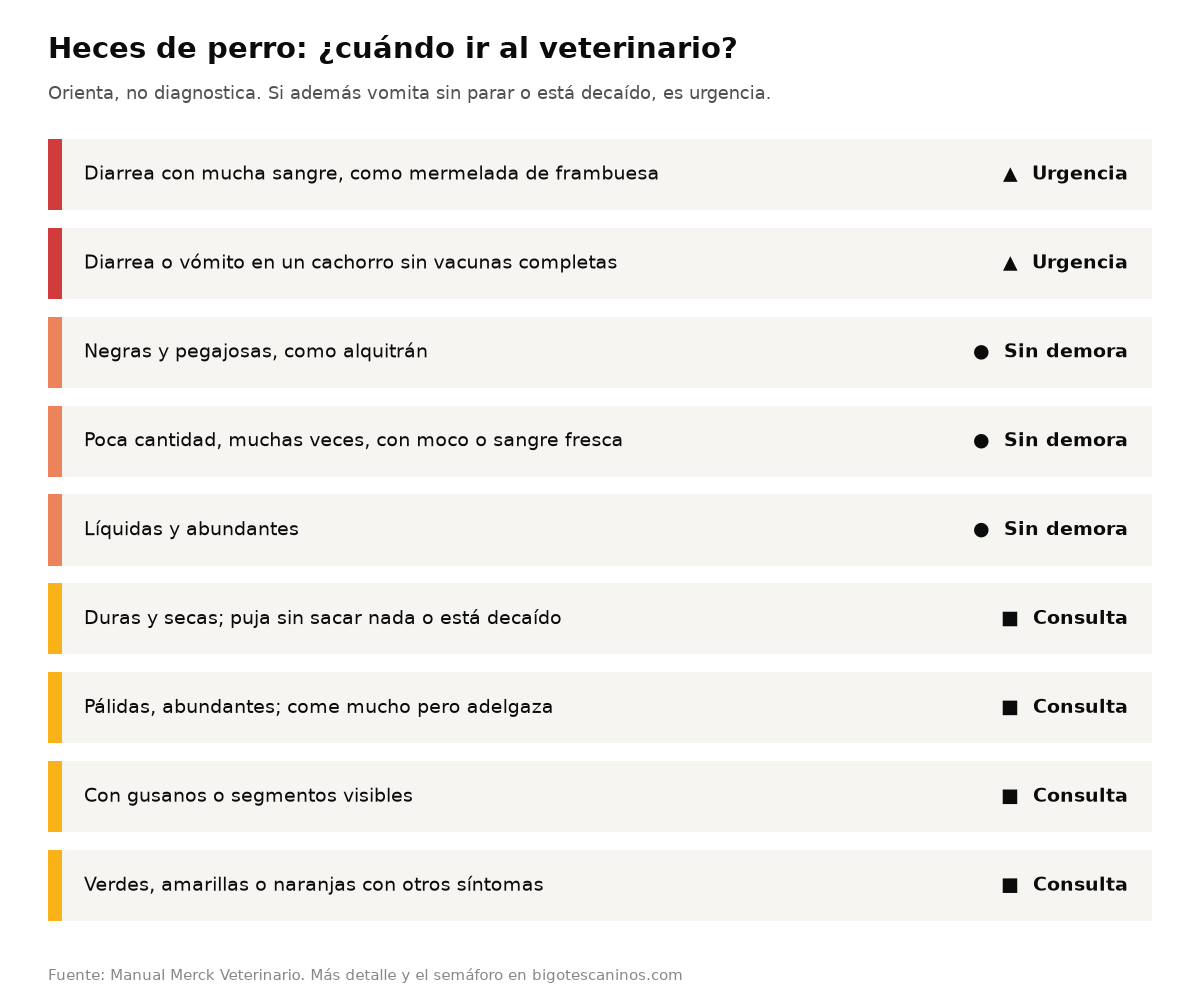 Escala de heces de perro por urgencia: diarrea con mucha sangre o cachorro sin vacunas, urgencia; heces negras, con moco o líquidas, sin demora; duras, pálidas, con gusanos o de color raro con otros síntomas, consulta