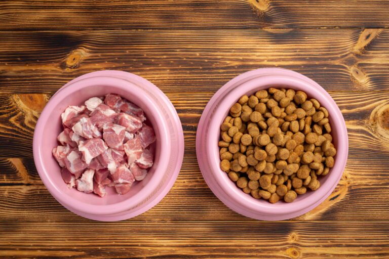 proteinas-perros